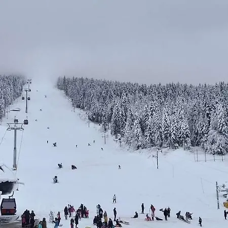 Oaza Mira * Pale